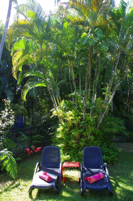 Pink Flamingo Resort Port Douglas Zewnętrze zdjęcie