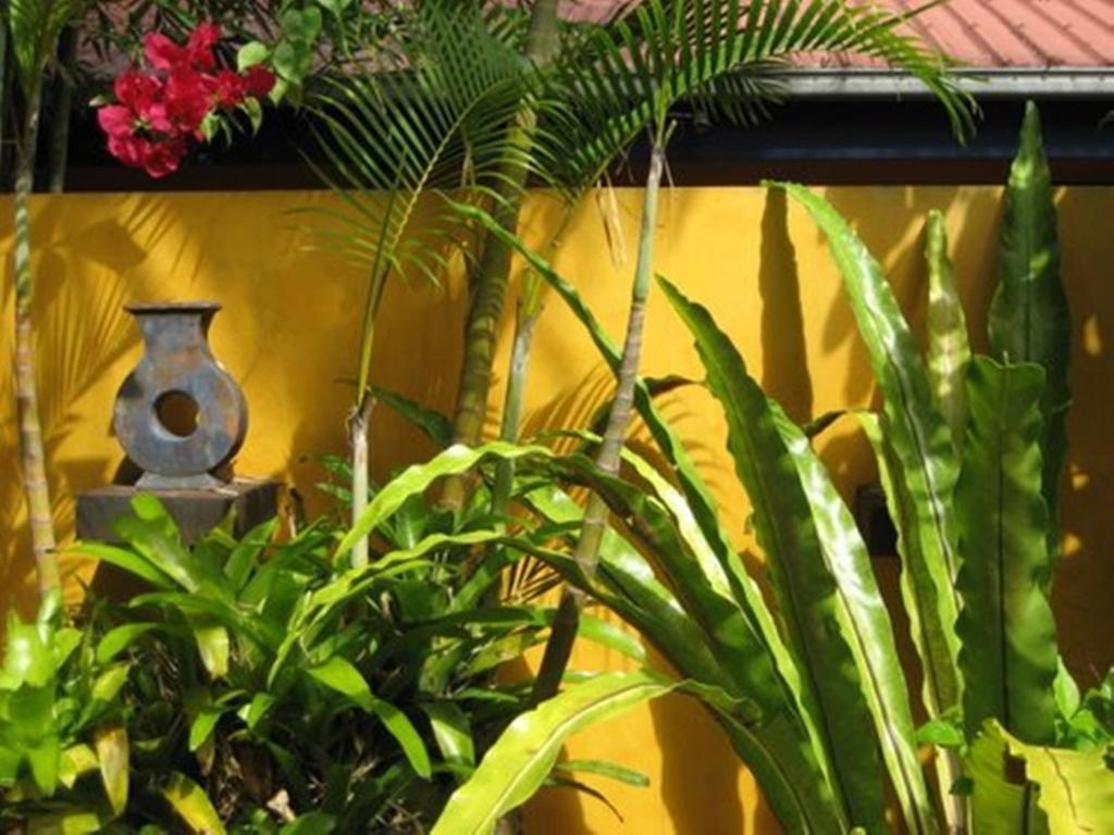 Pink Flamingo Resort Port Douglas Zewnętrze zdjęcie