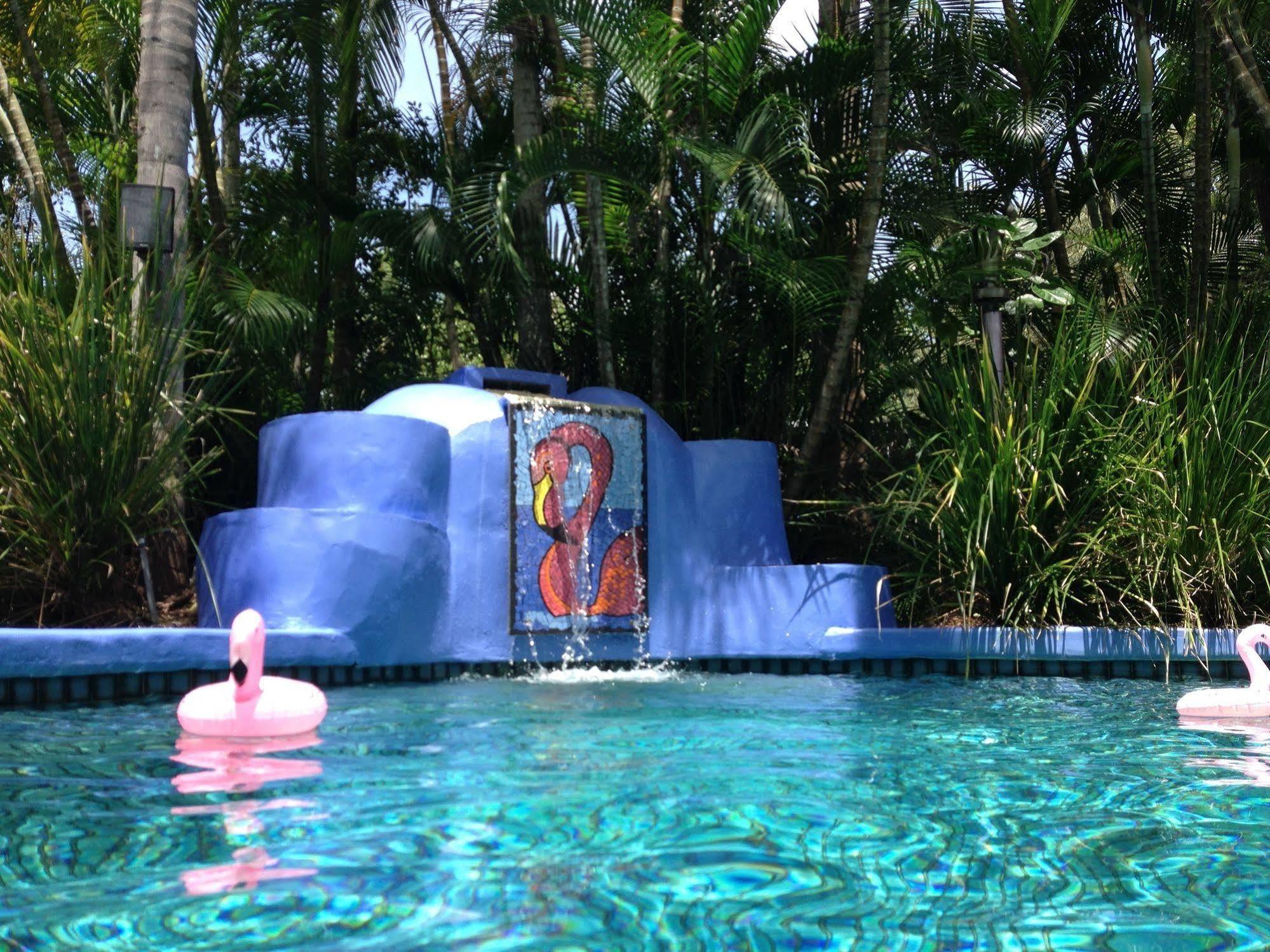 Pink Flamingo Resort Port Douglas Zewnętrze zdjęcie