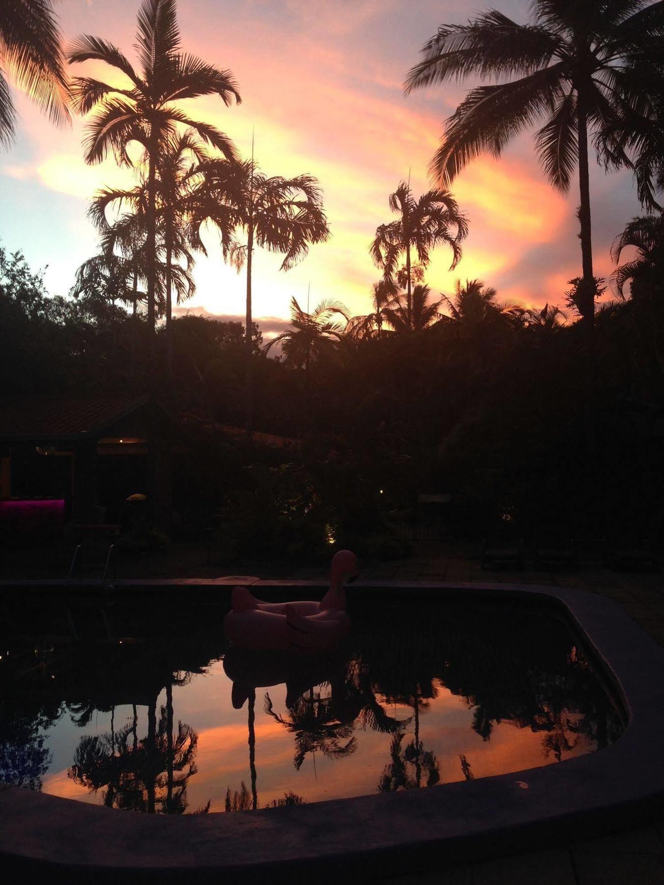 Pink Flamingo Resort Port Douglas Zewnętrze zdjęcie