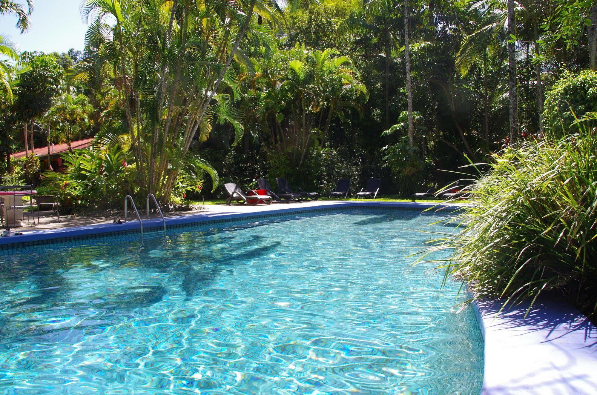 Pink Flamingo Resort Port Douglas Zewnętrze zdjęcie