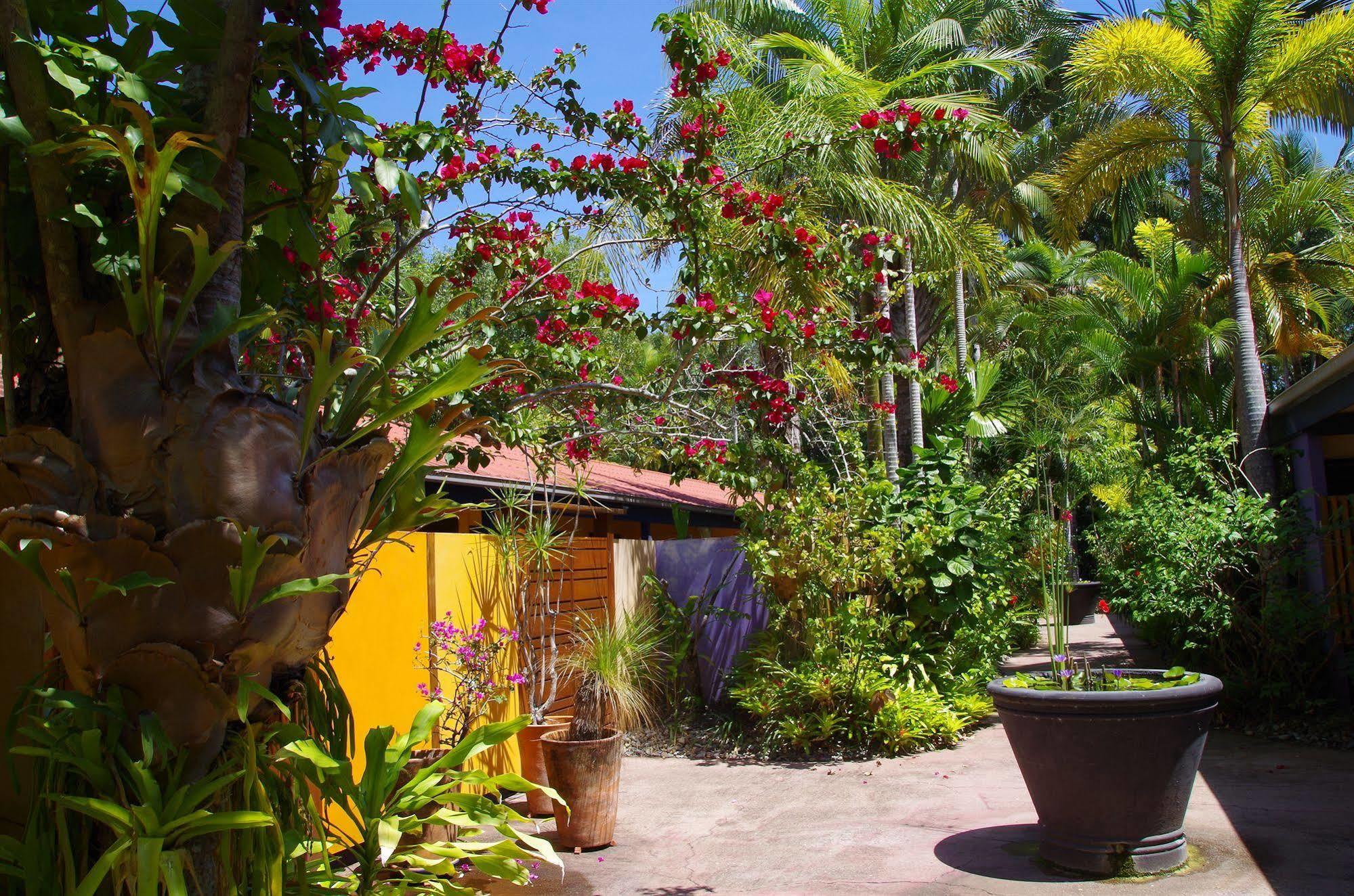 Pink Flamingo Resort Port Douglas Zewnętrze zdjęcie