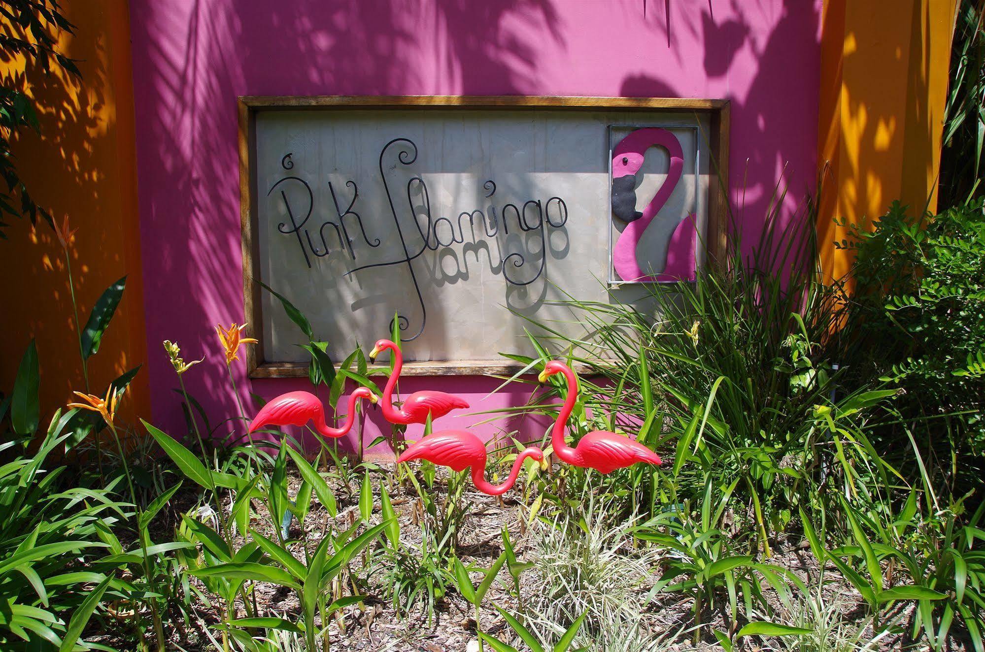 Pink Flamingo Resort Port Douglas Zewnętrze zdjęcie